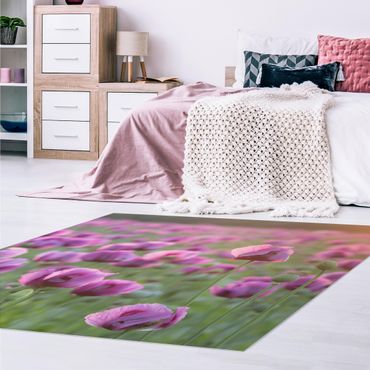 Vinyl-Teppich - Violette Schlafmohn Blumenwiese im Frühling - Quadrat 1:1
