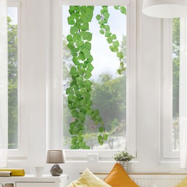 Fensterfolie Fenstersticker - Herzförmige Blätter Ranke - Fensterbild