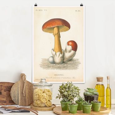 Poster - Französische Pilze - Hochformat 2:3