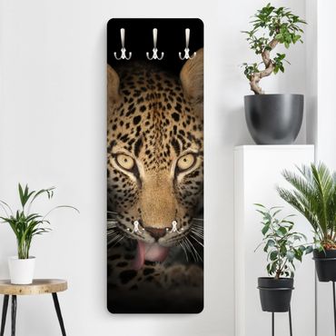 Garderobe - Resting Leopard