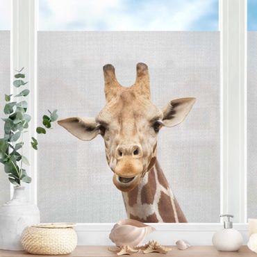 Fensterfolie - Sichtschutz - Giraffe Gundel - Fensterbilder