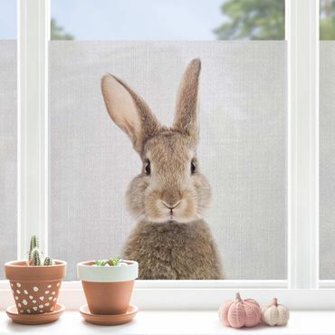 Fensterfolie - Sichtschutz - Hase Hilbert - Fensterbilder