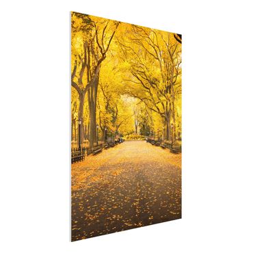 Forex Fine Art Print - Herbst im Central Park - Hochformat 3:4
