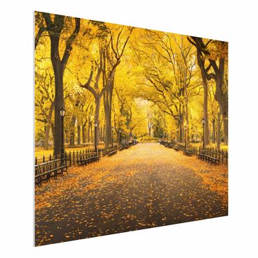 Forex Fine Art Print - Herbst im Central Park - Querformat 4:3