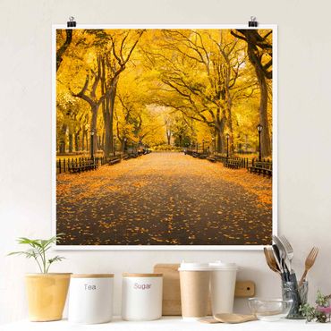 Poster - Herbst im Central Park - Quadrat 1:1