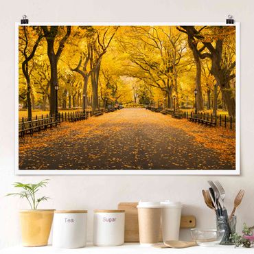 Poster - Herbst im Central Park - Querformat 3:2