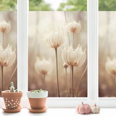 Fensterfolie - Sichtschutz - Herbstlicher Gräser Close-up - Fensterbilder