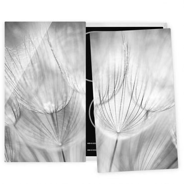 Herdabdeckplatte Glas - Pusteblumen Makroaufnahme in schwarz weiß