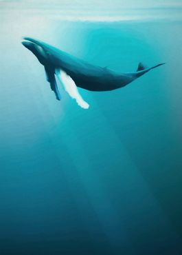 Fototapete - Artsy Humpback Whale