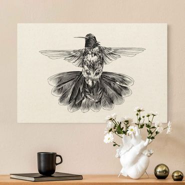 Leinwandbild Natur - Illustration fliegender Kolibri Schwarz - Querformat 3:2