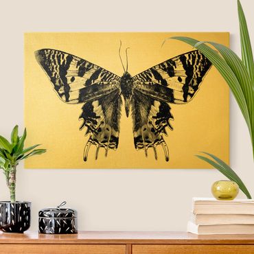Leinwandbild - Illustration fliegender Madagaskar Schmetterling - Querformat 3:2