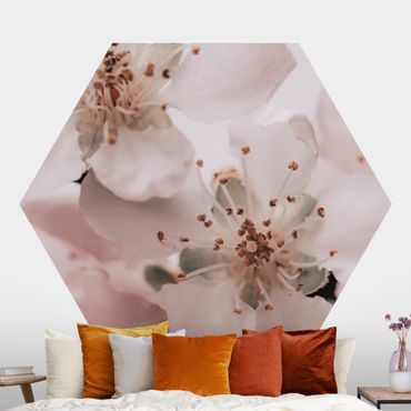 Hexagon Mustertapete selbstklebend - Im Herzen der Blüte