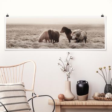 Poster - Island Wildpferde - Panorama 3:1