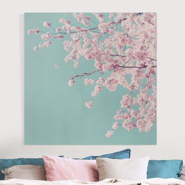 Leinwandbild - Japanische Kirschblüte - Quadrat 1:1