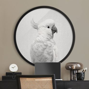 Rundes Gerahmtes Bild - Kakadu Kiki Schwarz Weiß