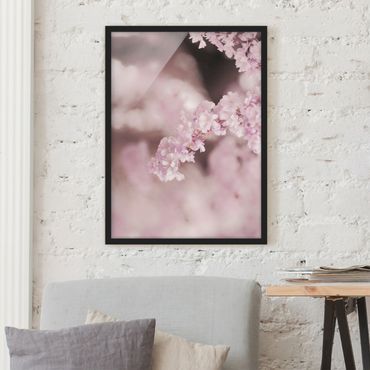 Bild mit Rahmen - Kirschblüte im Violetten Licht - Hochformat