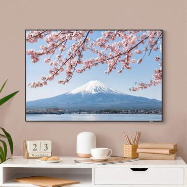 Wechselbild - Kirschblüten mit Berg Fuji