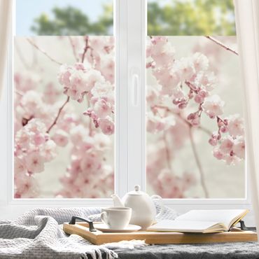 Fensterfolie - Sichtschutz - Kirschblütentanz - Fensterbilder