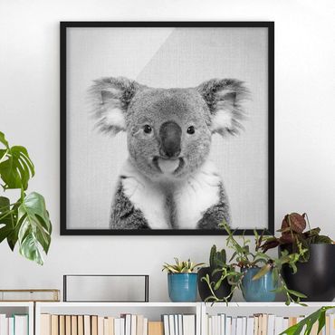 Bild mit Rahmen - Koala Klaus Schwarz Weiß - Quadrat - 1:1