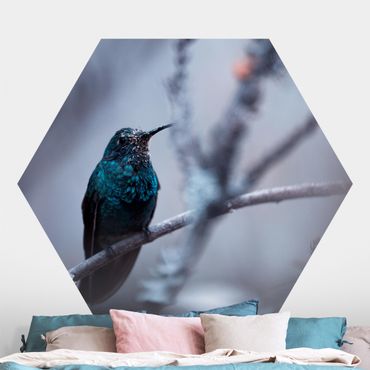 Hexagon Mustertapete selbstklebend - Kolibri im Winter