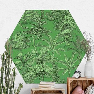 Hexagon Mustertapete selbstklebend - Kupferstichanmutung - Tropische Palmen in Grün