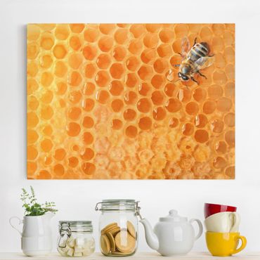Leinwandbild - Honey Bee - Quer 4:3