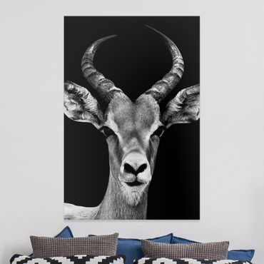 Leinwandbild - Impala Antilope schwarz-weiß - Hoch 2:3