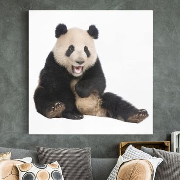 ADOB Fensterfolie »Panda«, halbtransparent, statisch haftend,  wiederverwendbar bestellen