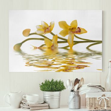 Leinwandbild - Saffron Orchid Waters - Quer 3:2