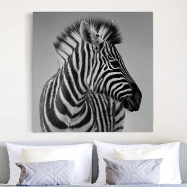 Leinwandbild Schwarz-Weiß - Zebra Baby Portrait II - Quadrat 1:1