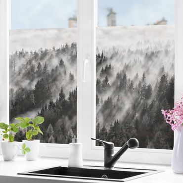 Fensterfolie - Sichtschutz - Lichtstrahlen im Nadelwald - Fensterbilder