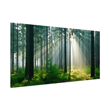 Magnettafel - Enlightened Forest - Memoboard Panorama Quer