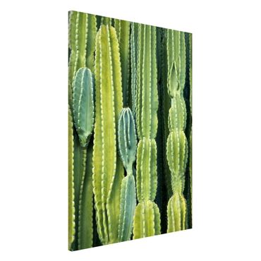 Magnettafel - Kaktus Wand - Memoboard Hochformat