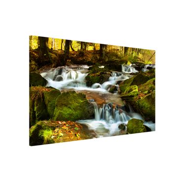 Magnettafel - Wasserfall herbstlicher Wald - Memoboard Hoch