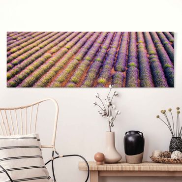 Leinwandbild - Malerisches Lavendelfeld - Panorama 3:1