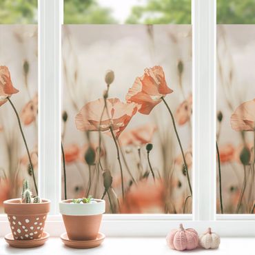 Fensterfolie - Sichtschutz - Mohnblüten im Sommerwind - Fensterbilder