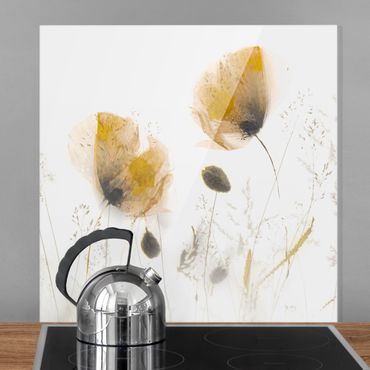 Spritzschutz Glas - Mohnblumen und zarte Gräser im weichen Nebel - Quadrat 1:1