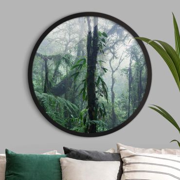 Rundes Gerahmtes Bild - Monteverde Nebelwald