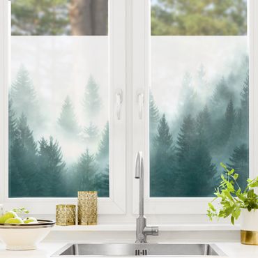 Fensterfolie - Sichtschutz - Nadelwald im Nebel - Fensterbilder