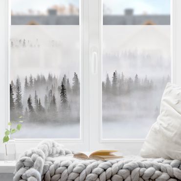 Fensterfolie - Sichtschutz - Nebel im Tannenwald Schwarz-Weiß - Fensterbilder