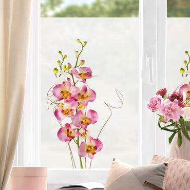 Fensterfolie - Sichtschutz - No.184 Orchidee Strauß - Fensterbilder