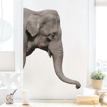Wandtattoo Elefant kaufen | Top Qualität | Klebefieber | Wandtattoos