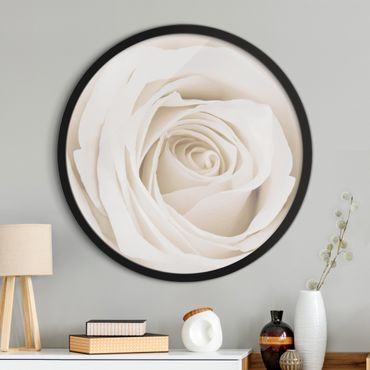 Rundes Gerahmtes Bild - Pretty White Rose