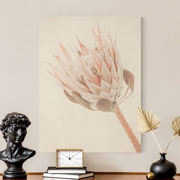 Leinwandbild Natur - Protea Königin der Blüten - Hochformat 3:4