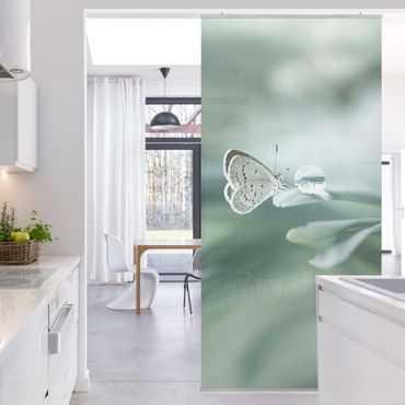 Raumteiler - Schmetterling und Tautropfen in Pastellgrün - 250x120cm
