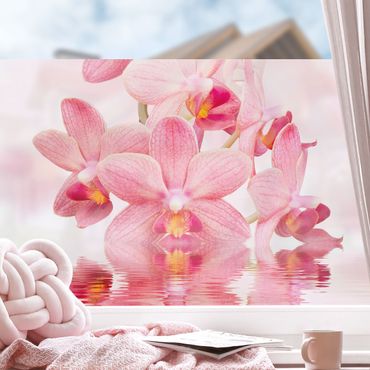 Fensterfolie - Sichtschutz - Rosa Orchideen auf Wasser - Fensterbilder