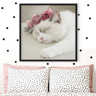 Bild mit Rahmen - Schlafende Katze mit Rosen - Quadrat
