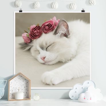 Poster - Schlafende Katze mit Rosen - Quadrat 1:1