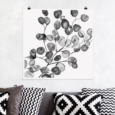 Poster - Schwarz Weiß Aquarell Eukalyptuszweig - Quadrat 1:1