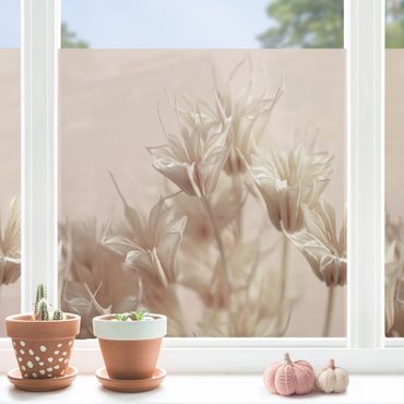 Fensterfolie - Sichtschutz - Sepia Trockenblumen - Fensterbilder